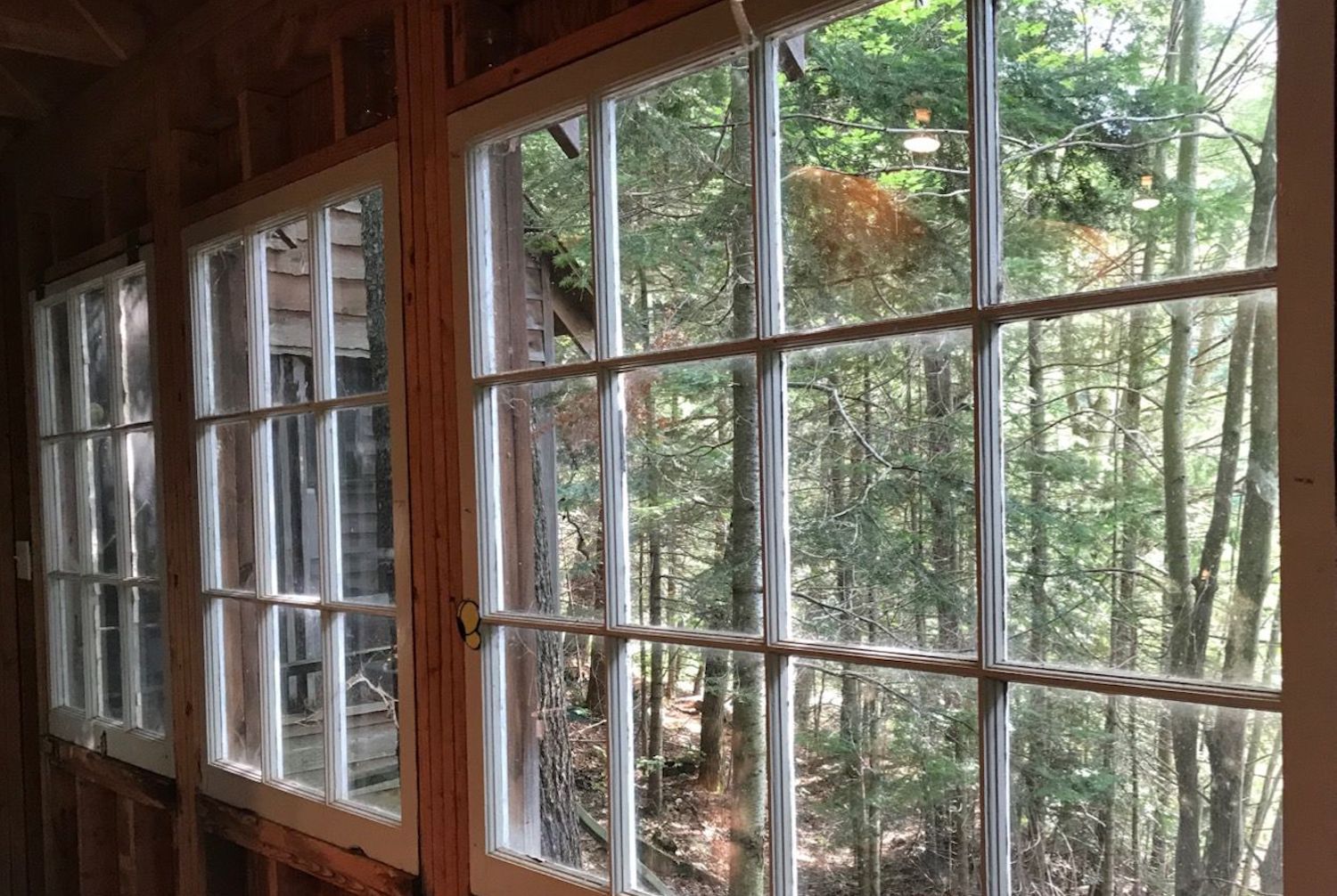 What Factors Should Be Considered When Replacing Old Windows With New Ones